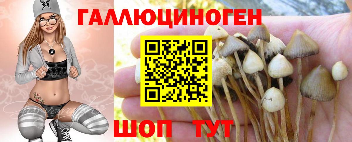 Псилоцибиновые грибы Psilocybine cubensis  Вход с VPN  Когалым  Псилоцибиновые грибы Cubensis 